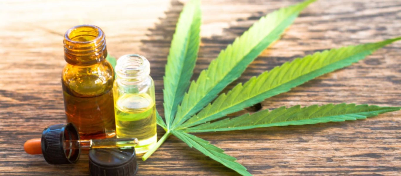 Φαρμακευτική κάνναβη: Τέσσερις νέες άδειες χορηγήθηκαν στο τέλος του 2019